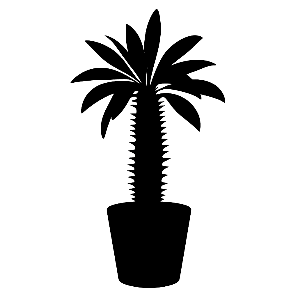 Madagascar Palm