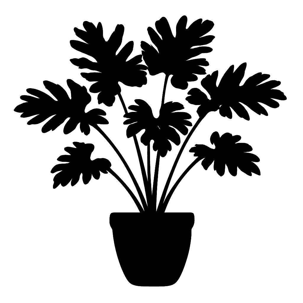 Brazilian tree philodendron