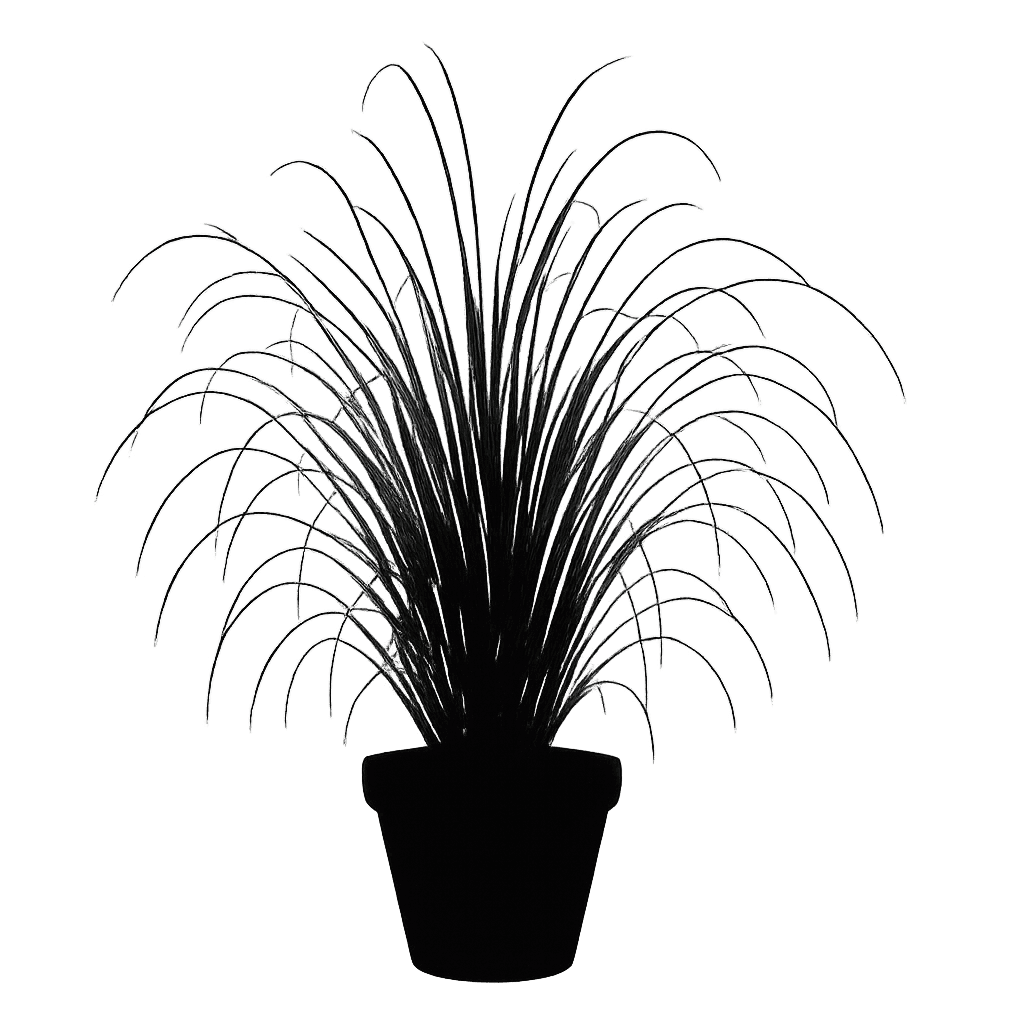 Blue Sedge