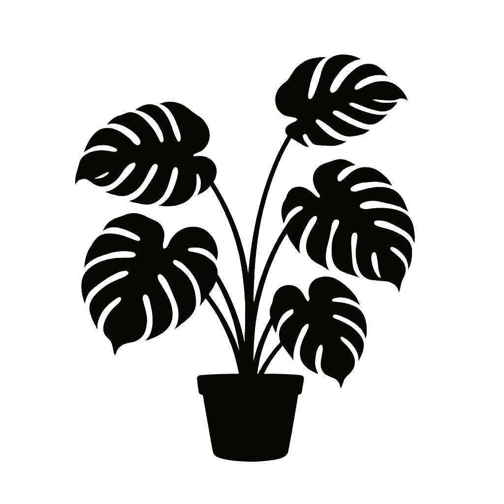 Monstera pinnatipartita