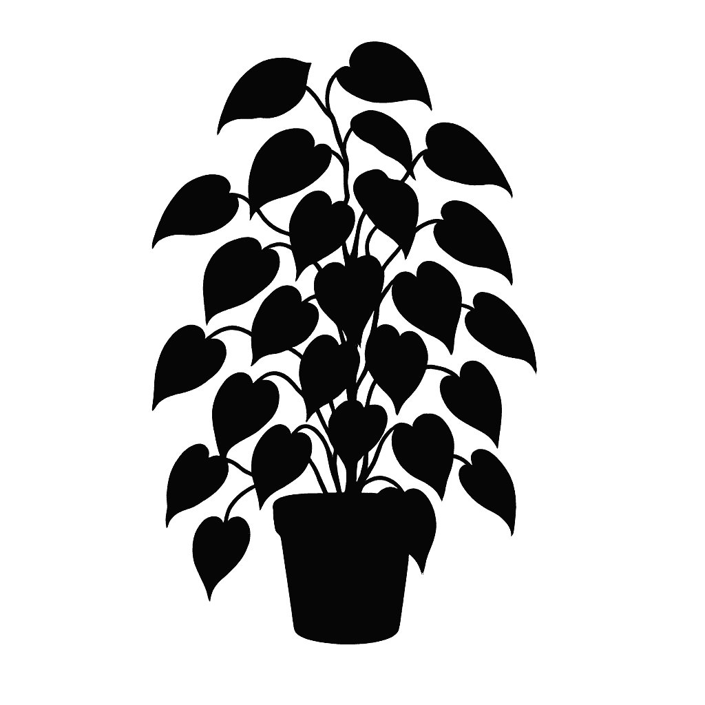 Shining Scindapsus