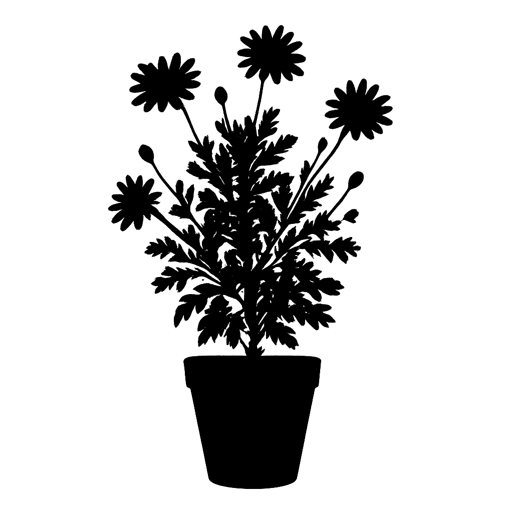 Tyson’s Daisy Bush