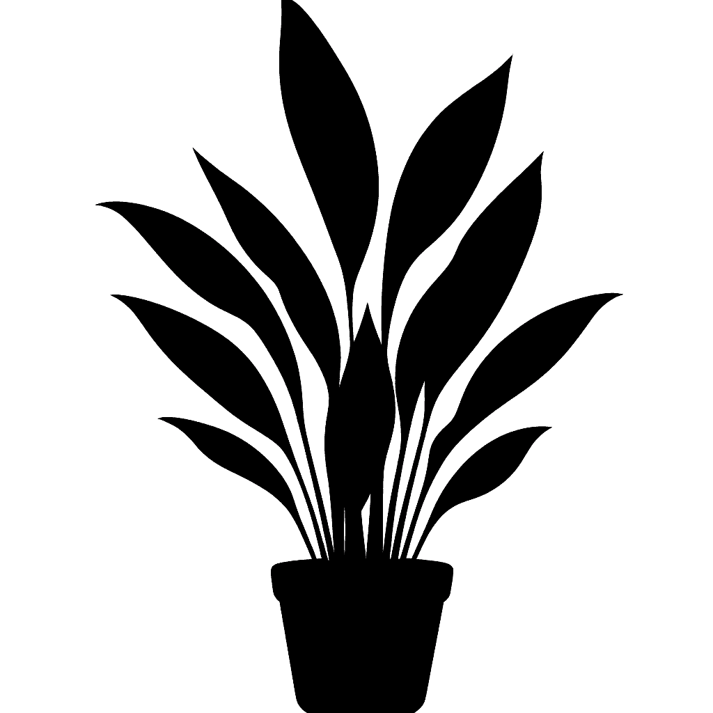 Cast Iron Plant