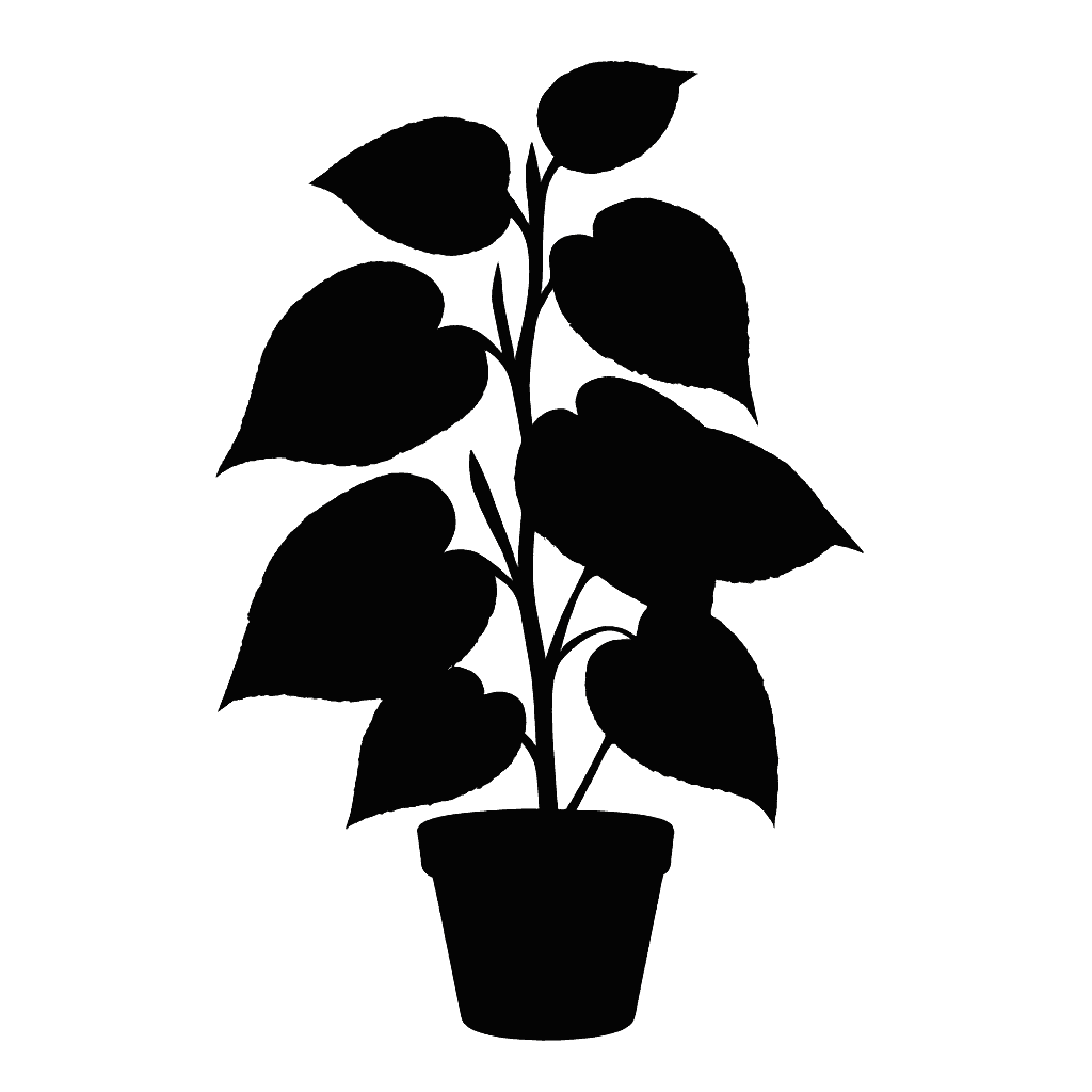 Piper pamploanum