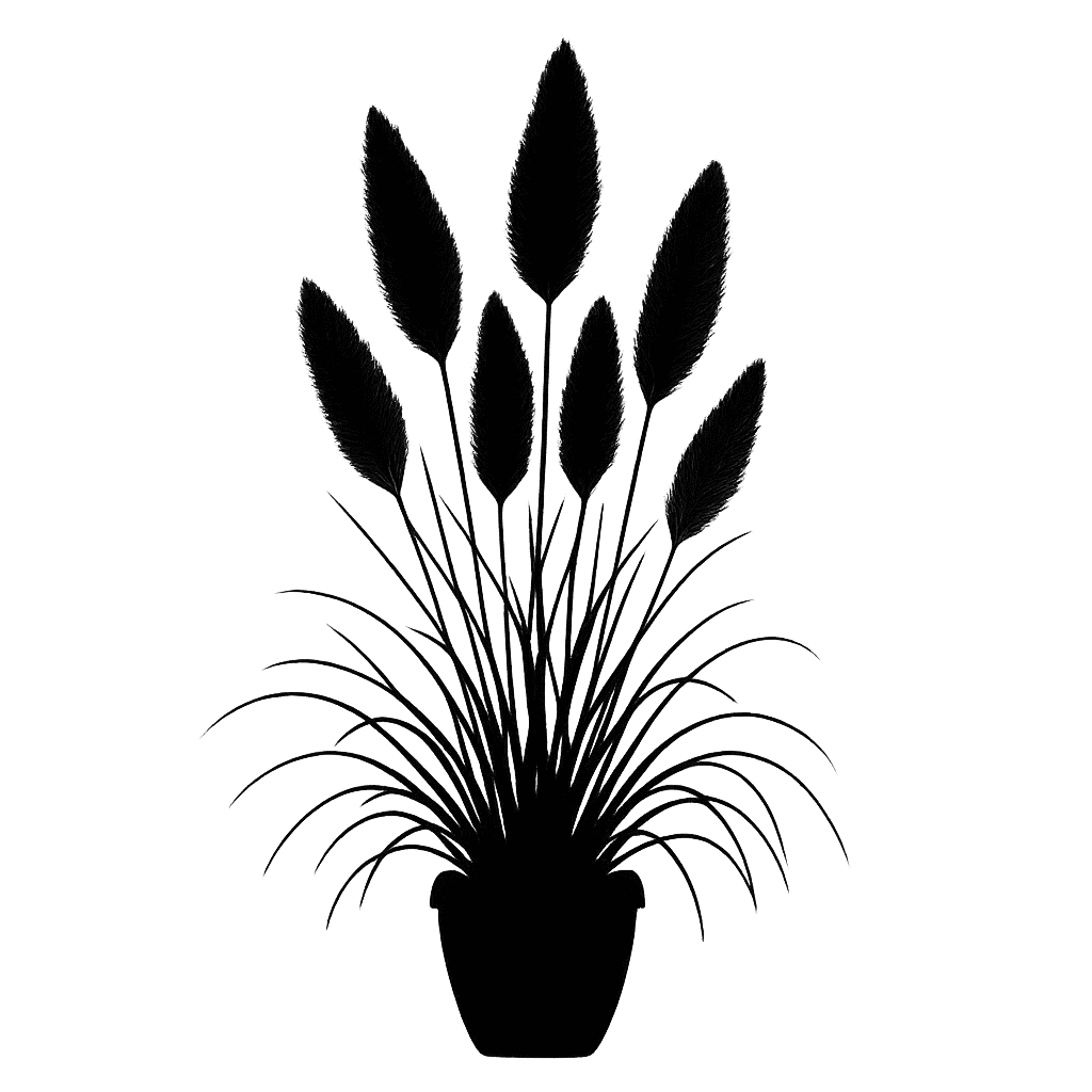 Pampas Grass