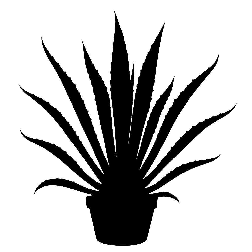 Century Plant