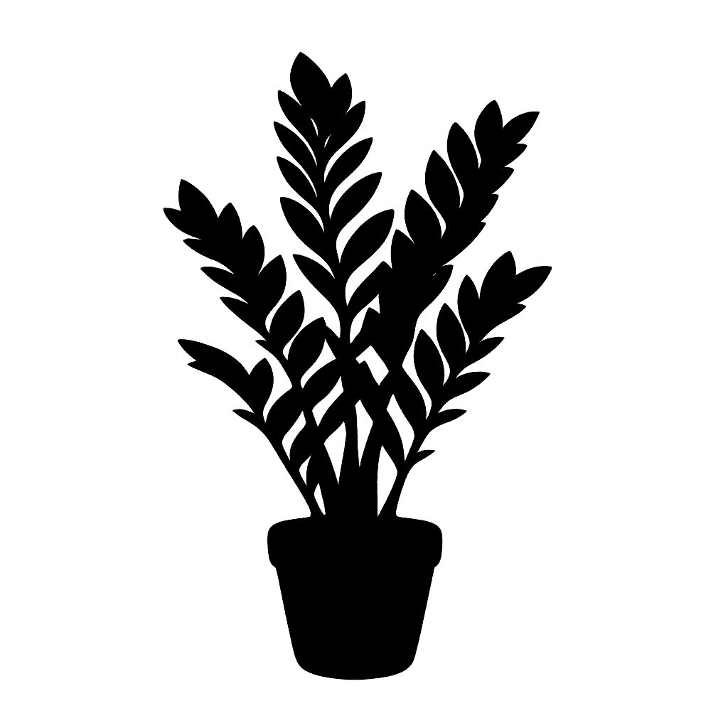 ZZ Plant