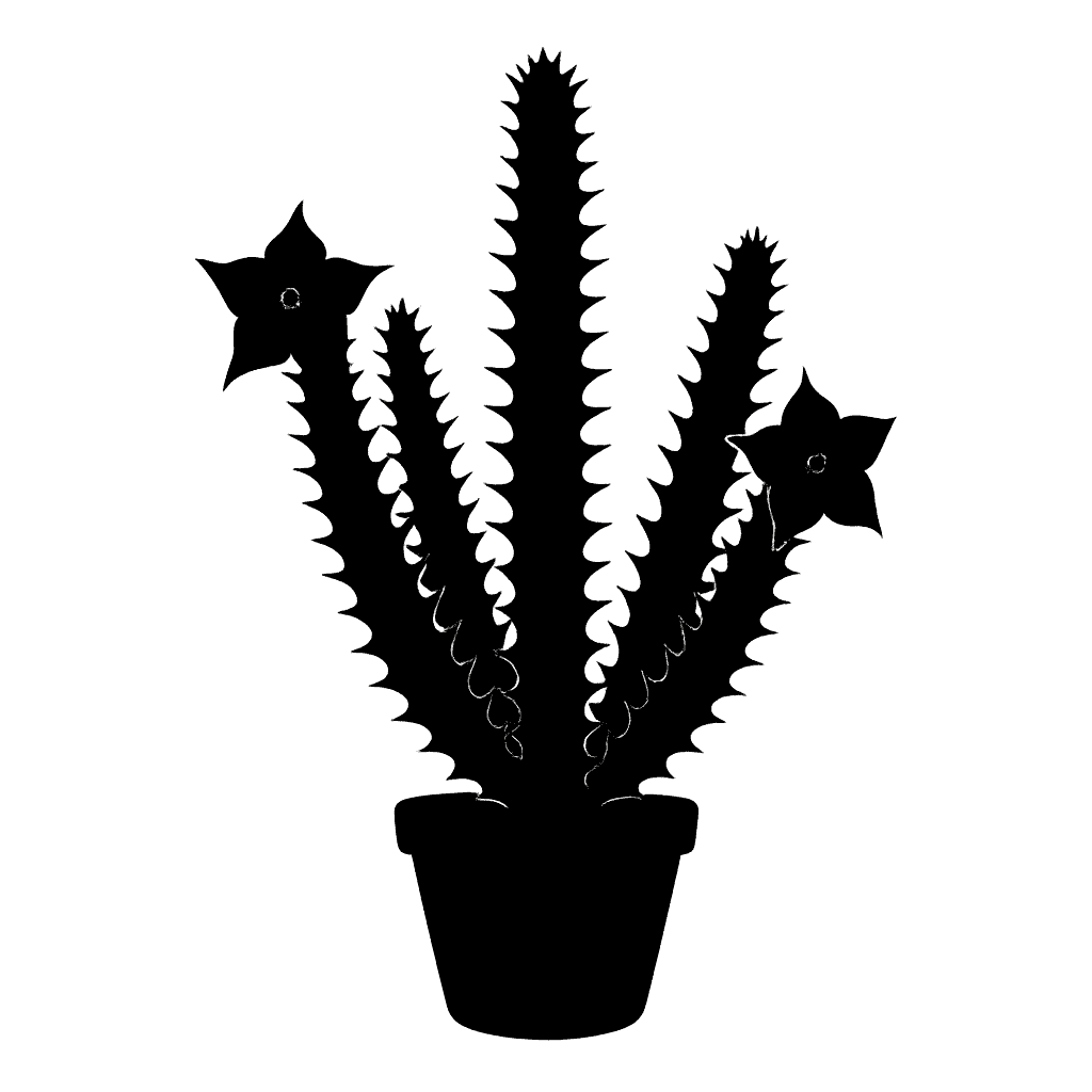 Hoodia