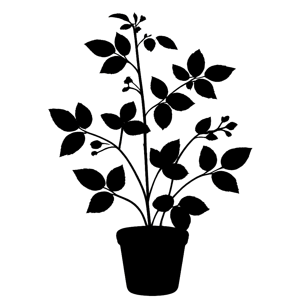 Bristly Blackberry