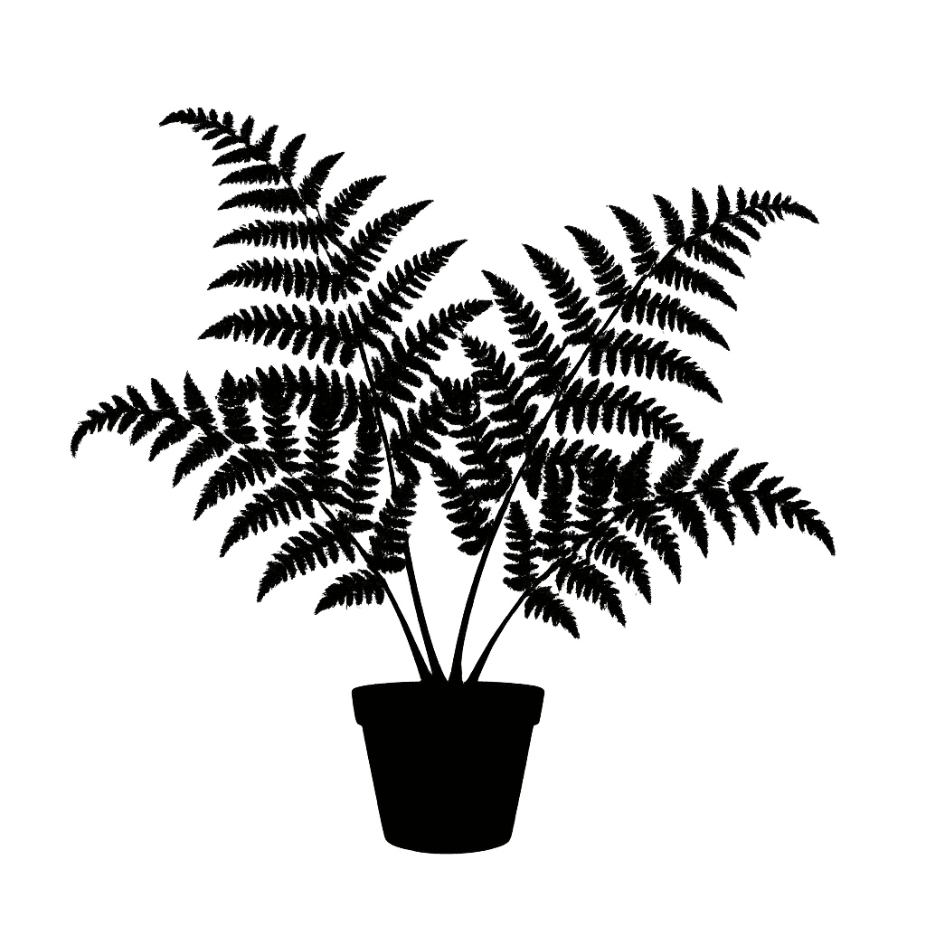 Shaving Brush Fern