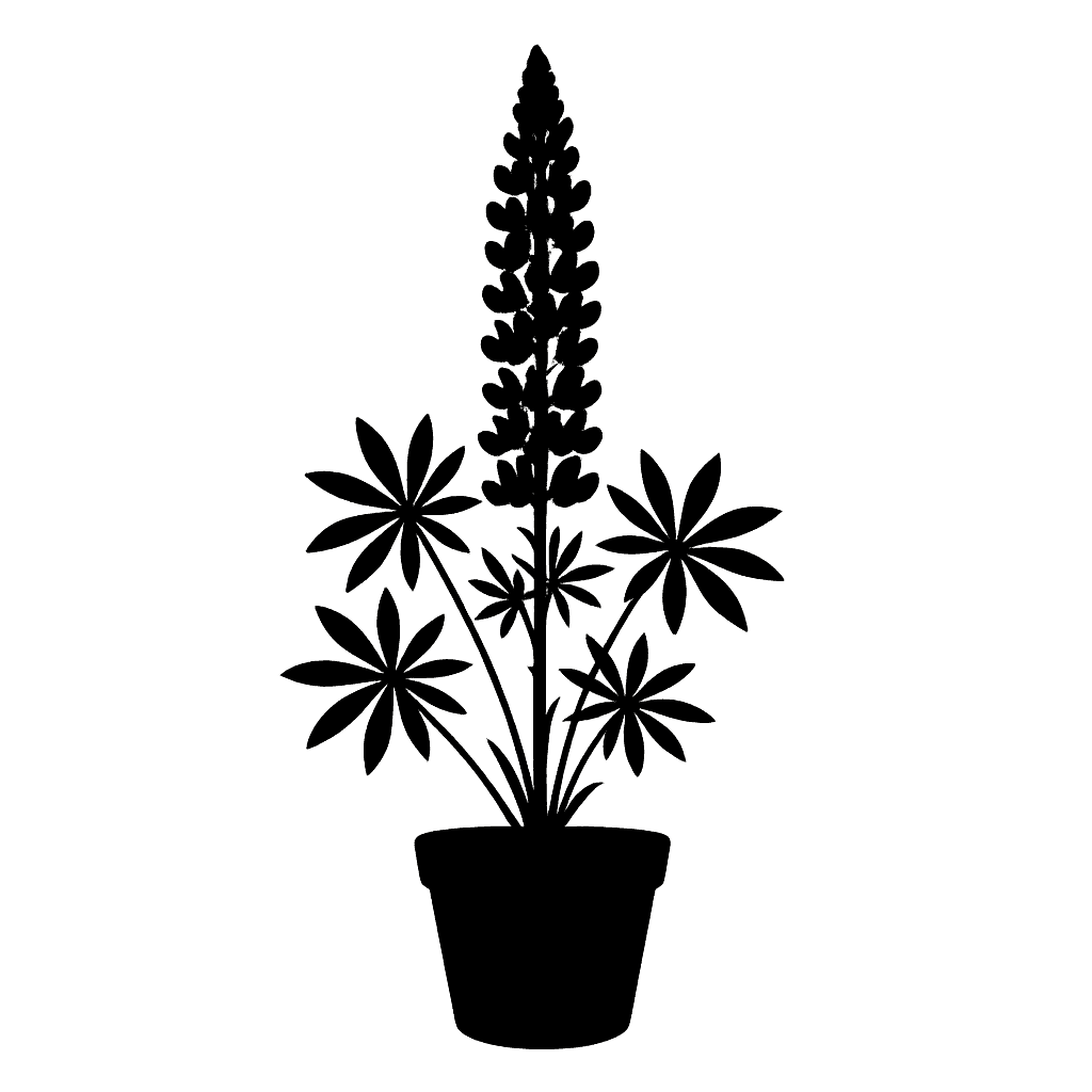 Mexican lupine