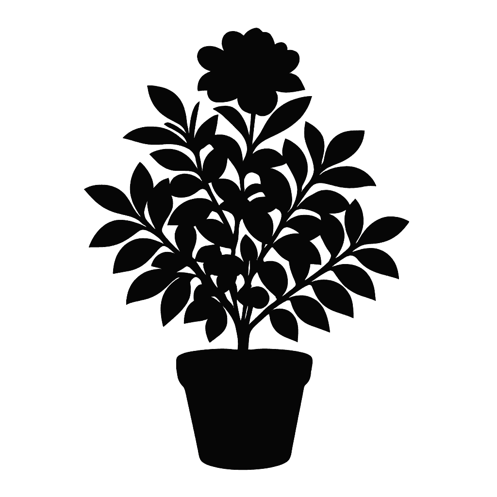 Gardenia
