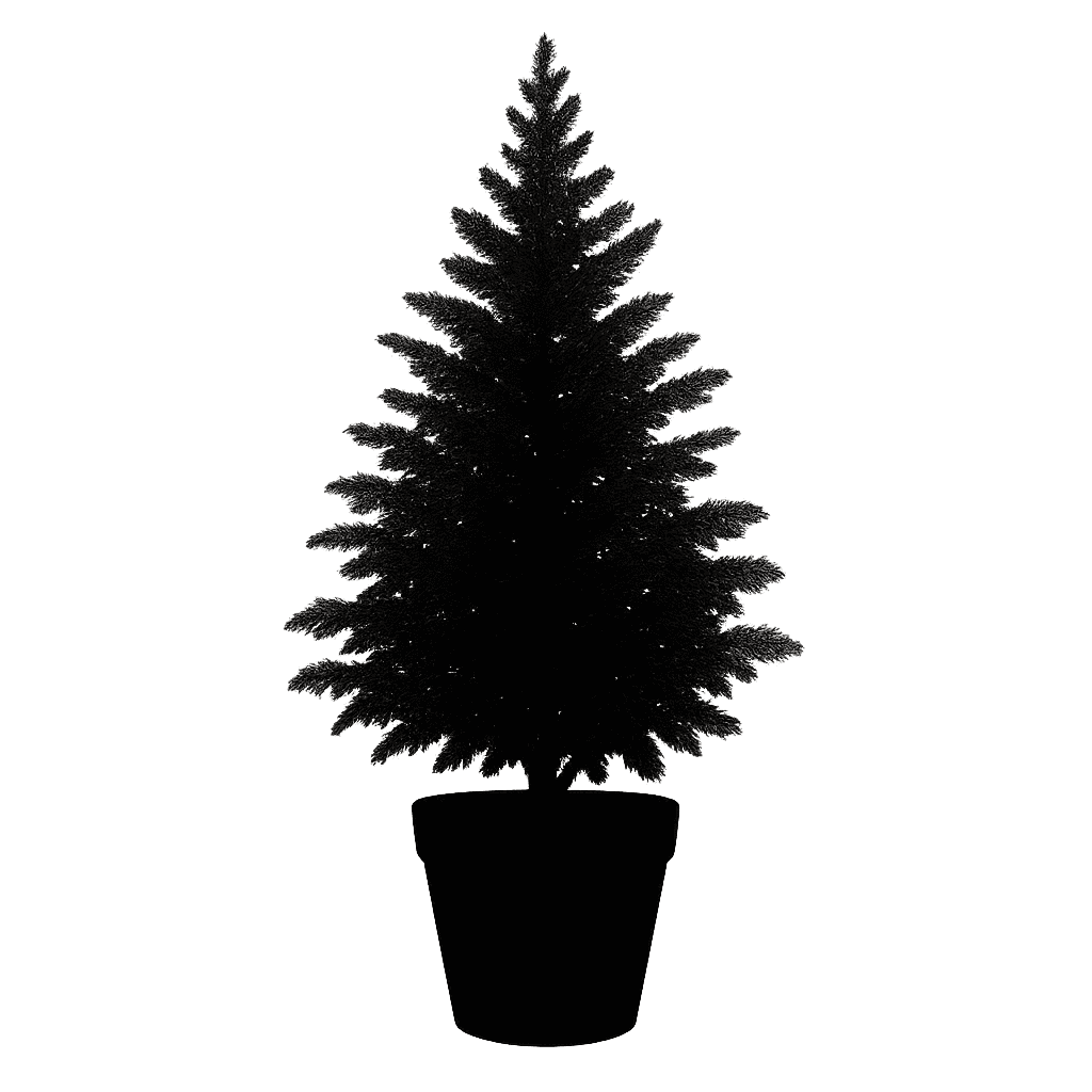 Japanese cedar