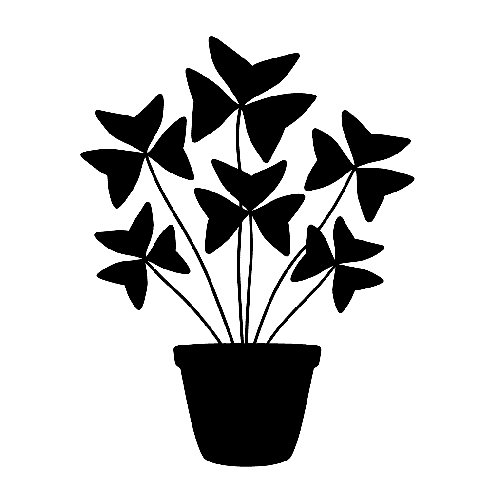 False Shamrock