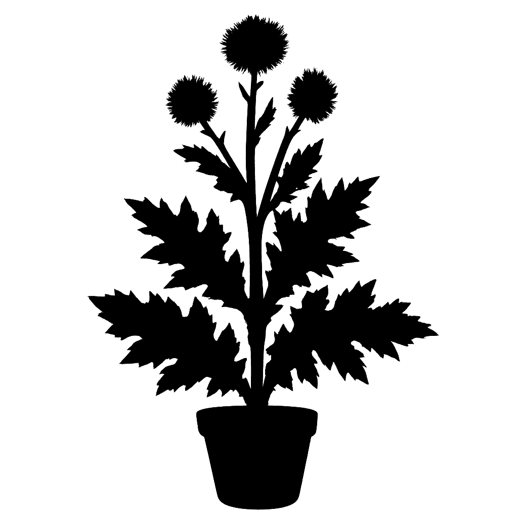 Alfredia fetsowii