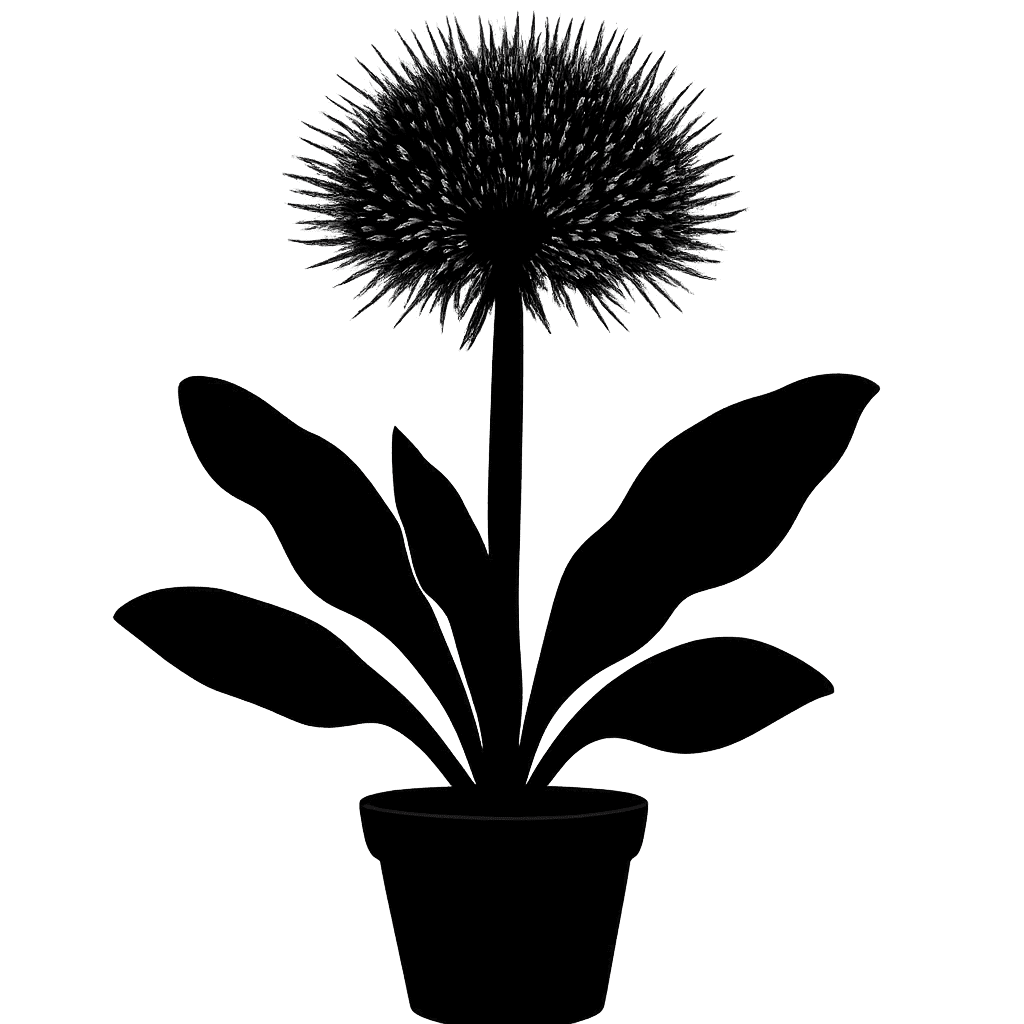 Blood lily