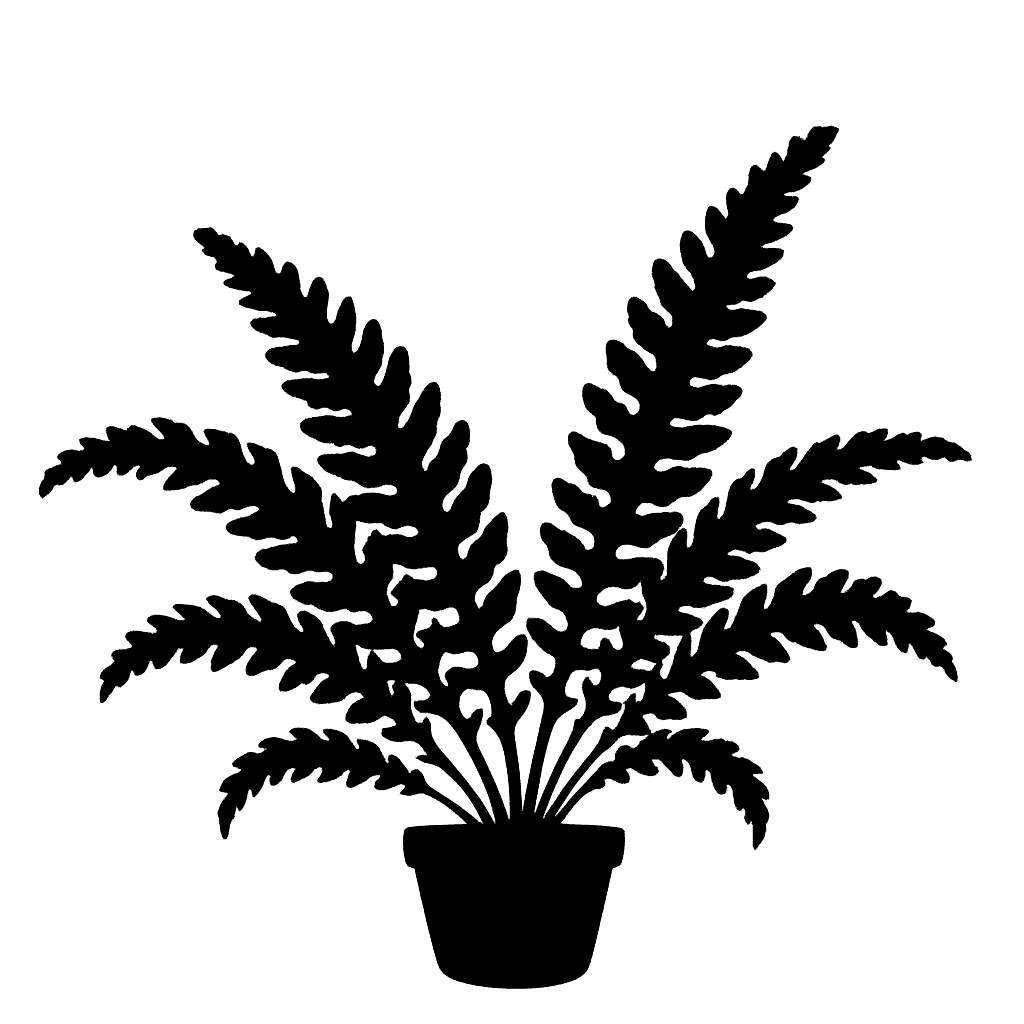 Maxon's spleenwort