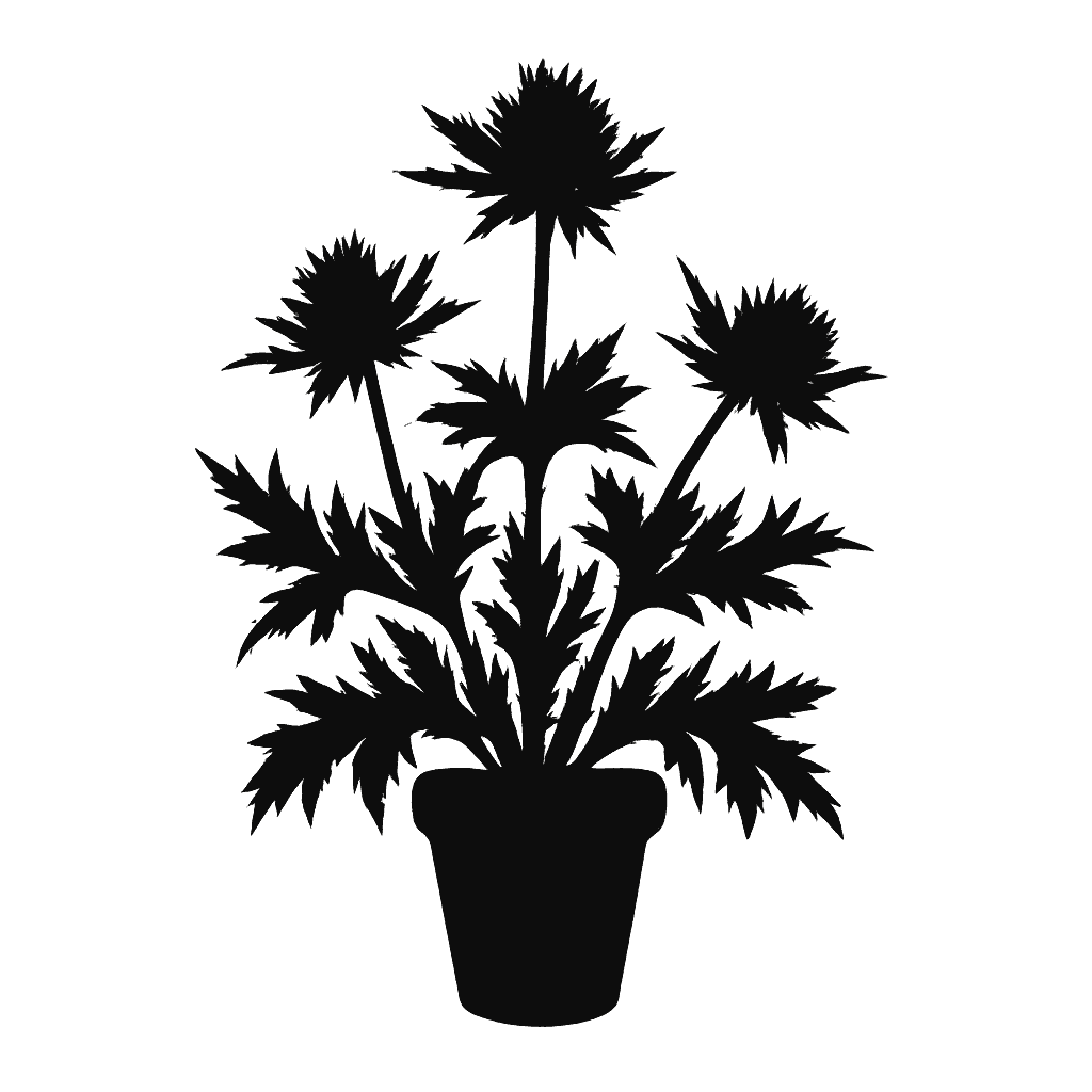 Swamp eryngo