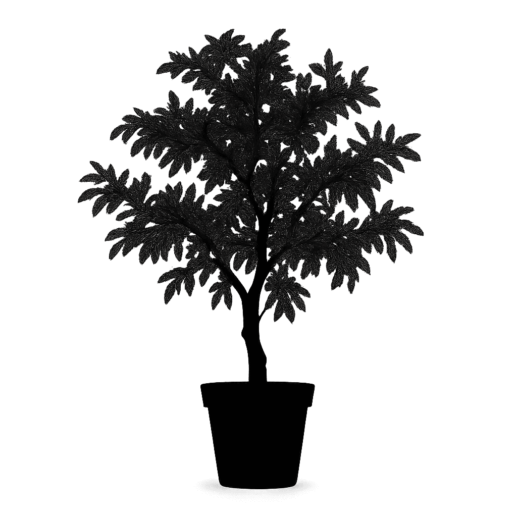 Catclaw Acacia