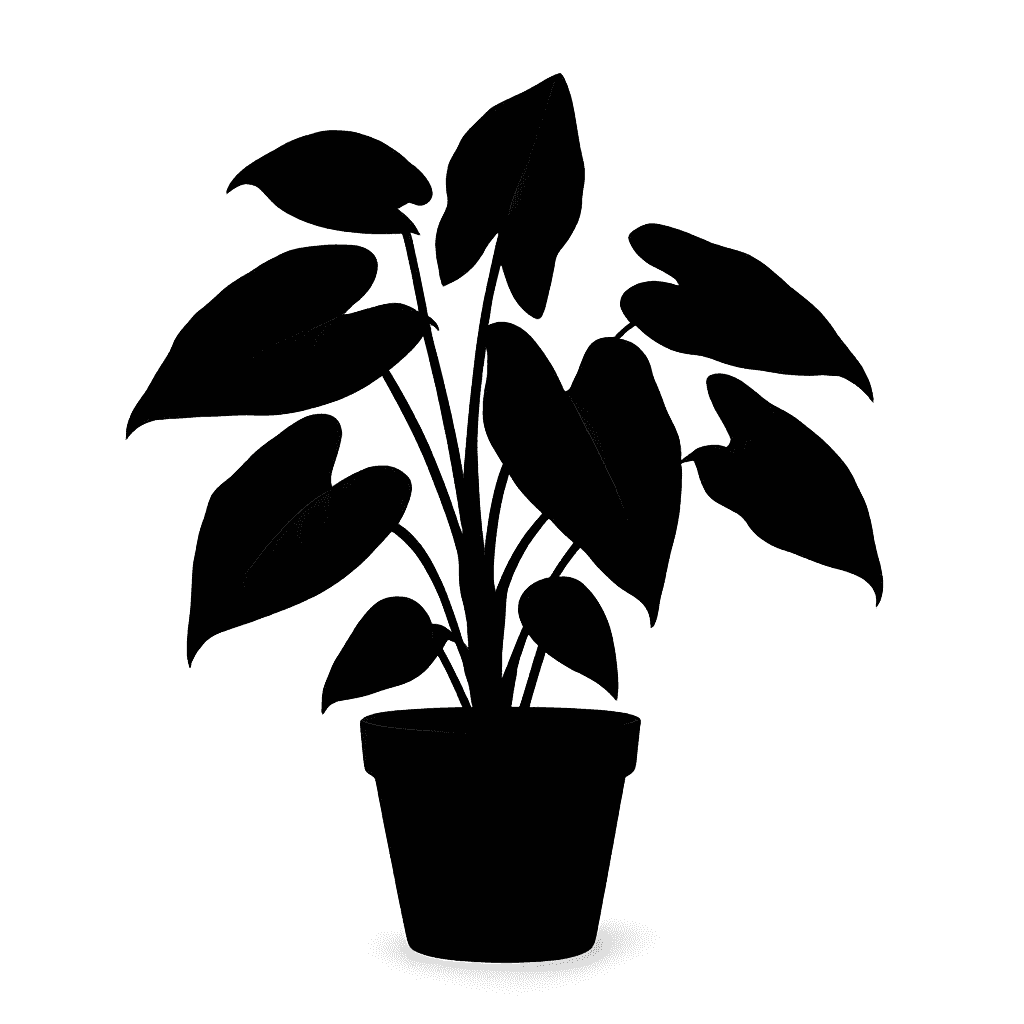 Red Arrow Syngonium