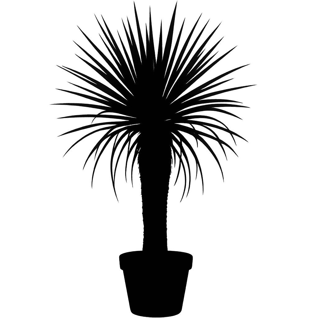 Yucca elata