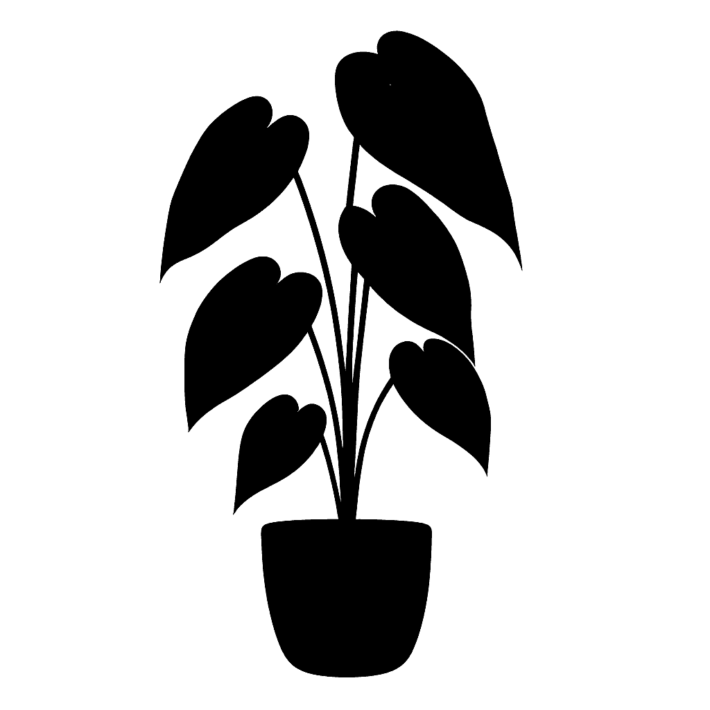 Black Gold Philodendron