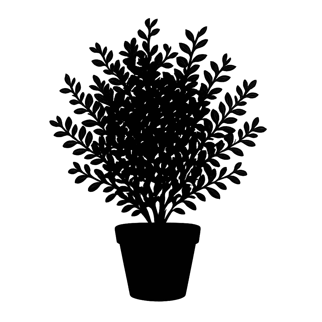 Thick-leaved Coprosma