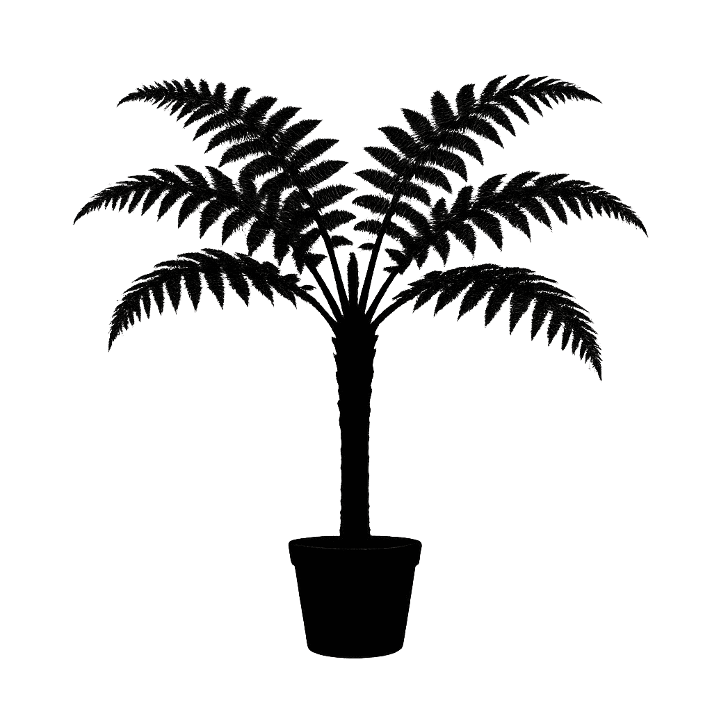 Black Tree Fern
