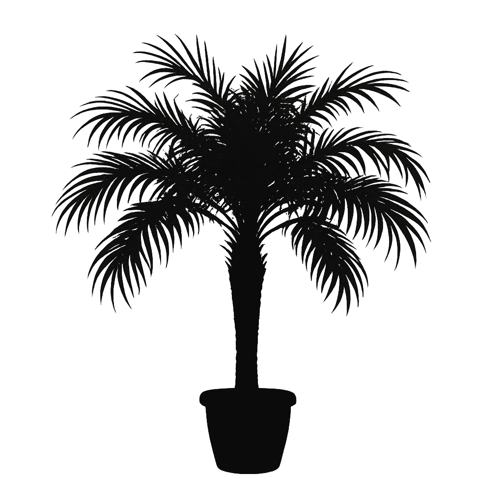 Pygmy Date Palm