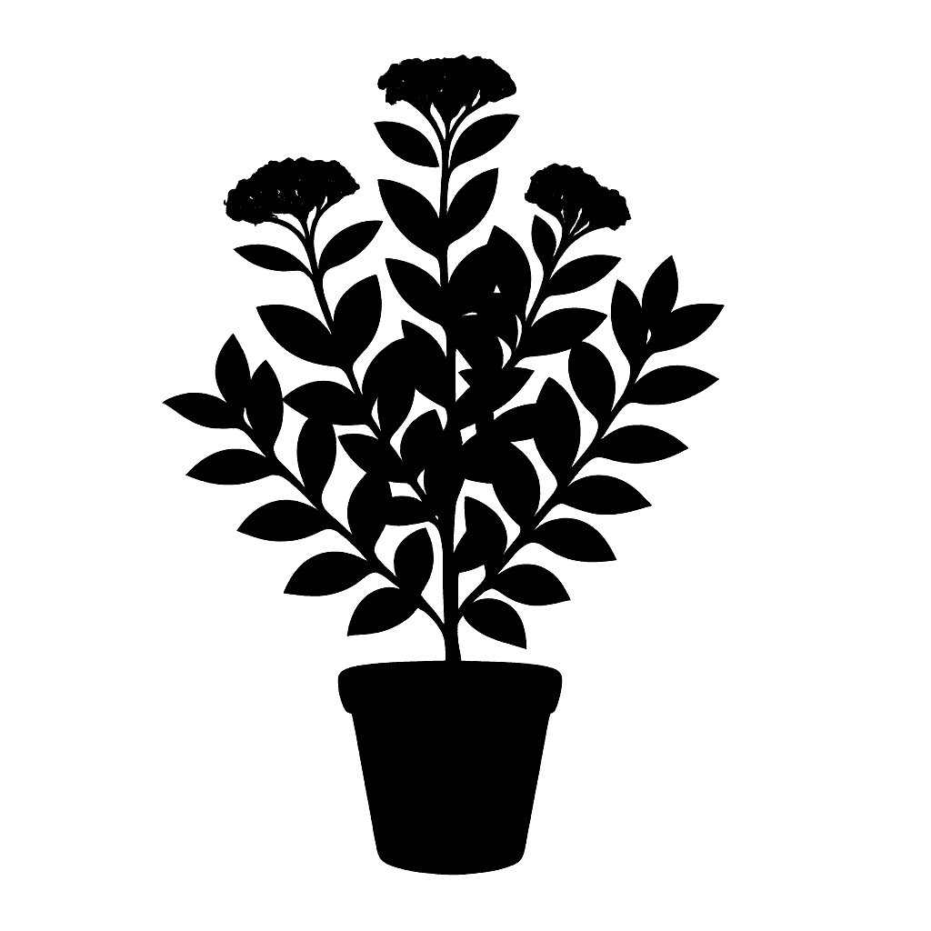 Congested Viburnum