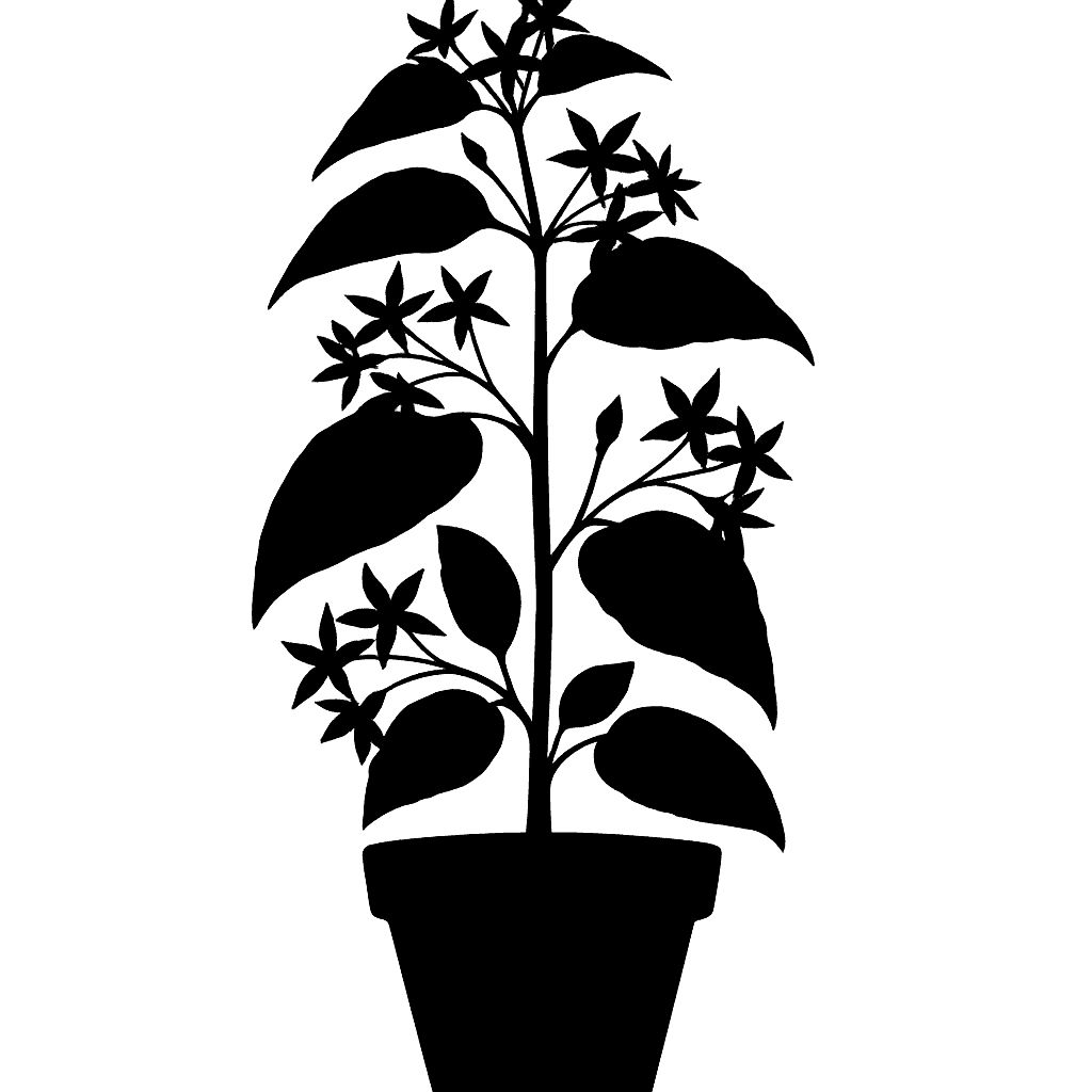 Vincetoxicum liebianum