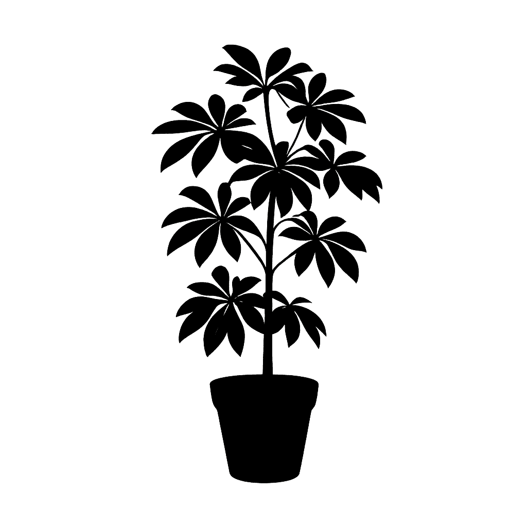 Umbrella Tree