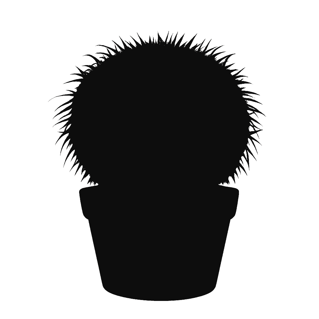 Golden Barrel Cactus