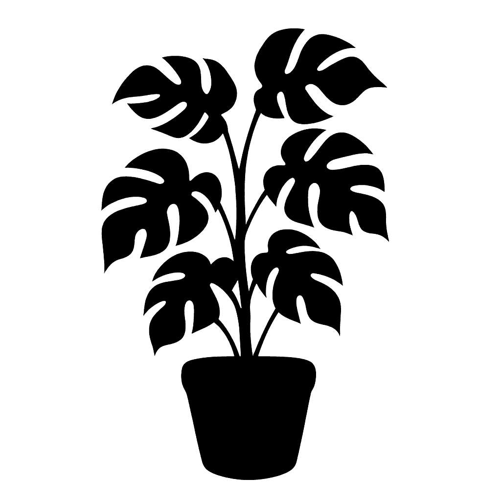 Mini Monstera