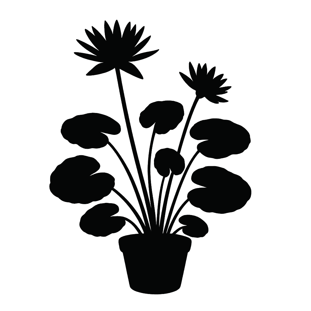 Egyptian blue water lily