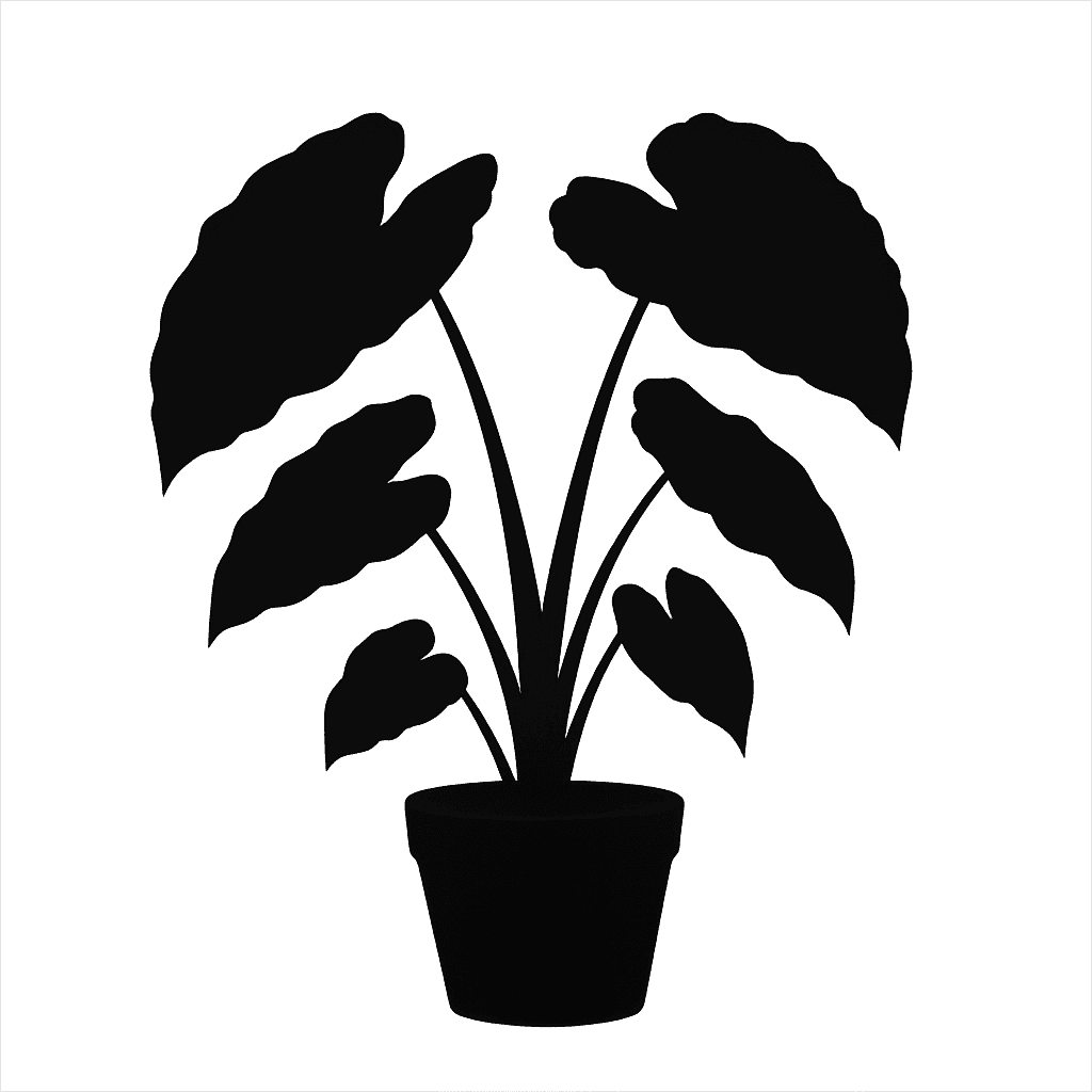 Taro