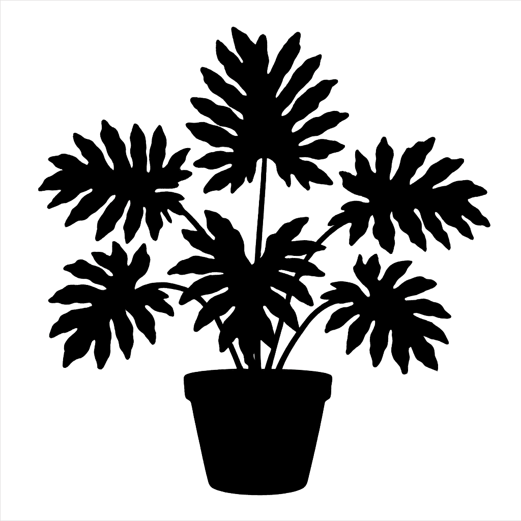 Spruce's philodendron