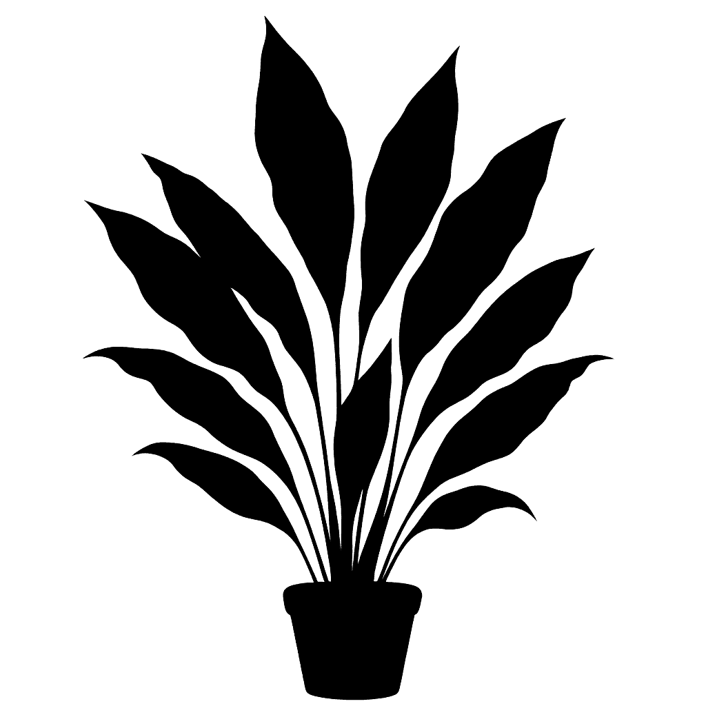 Sichuan cast-iron plant