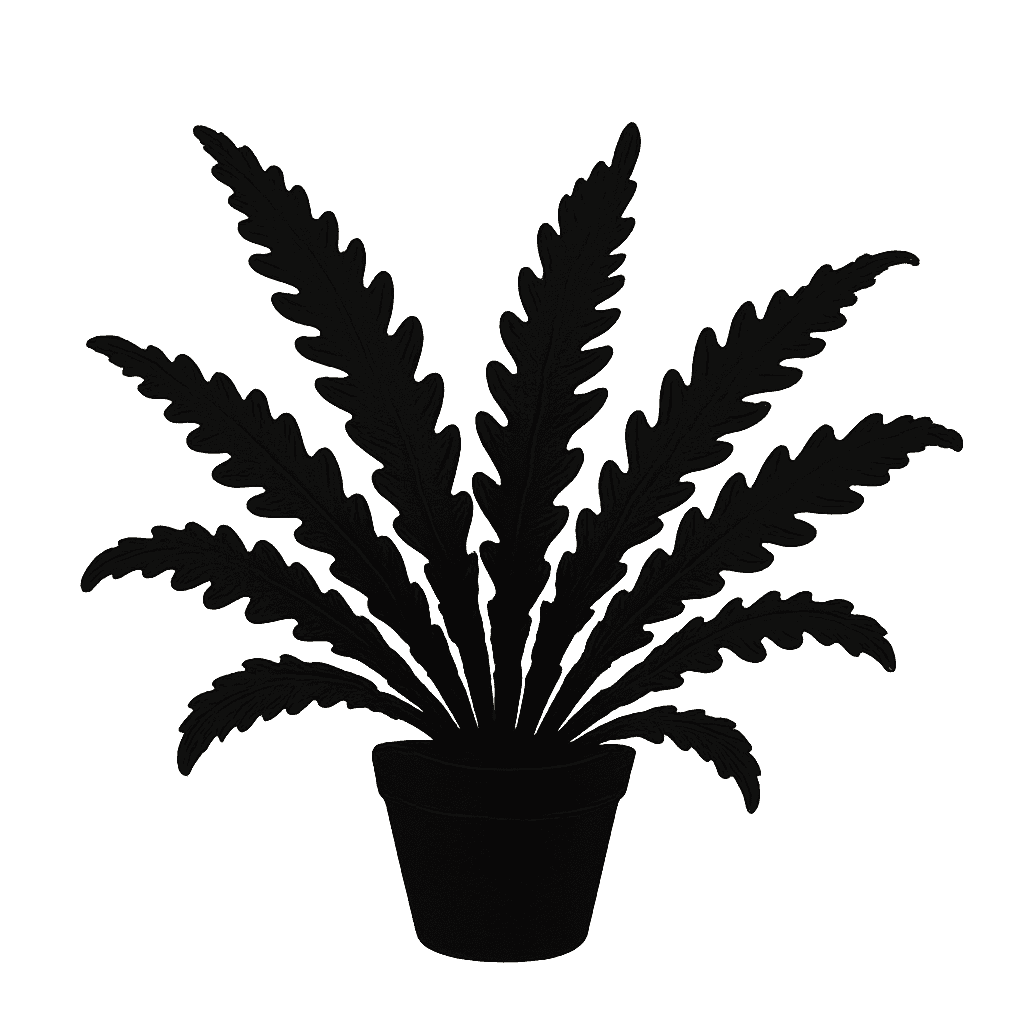 Crocodile Fern