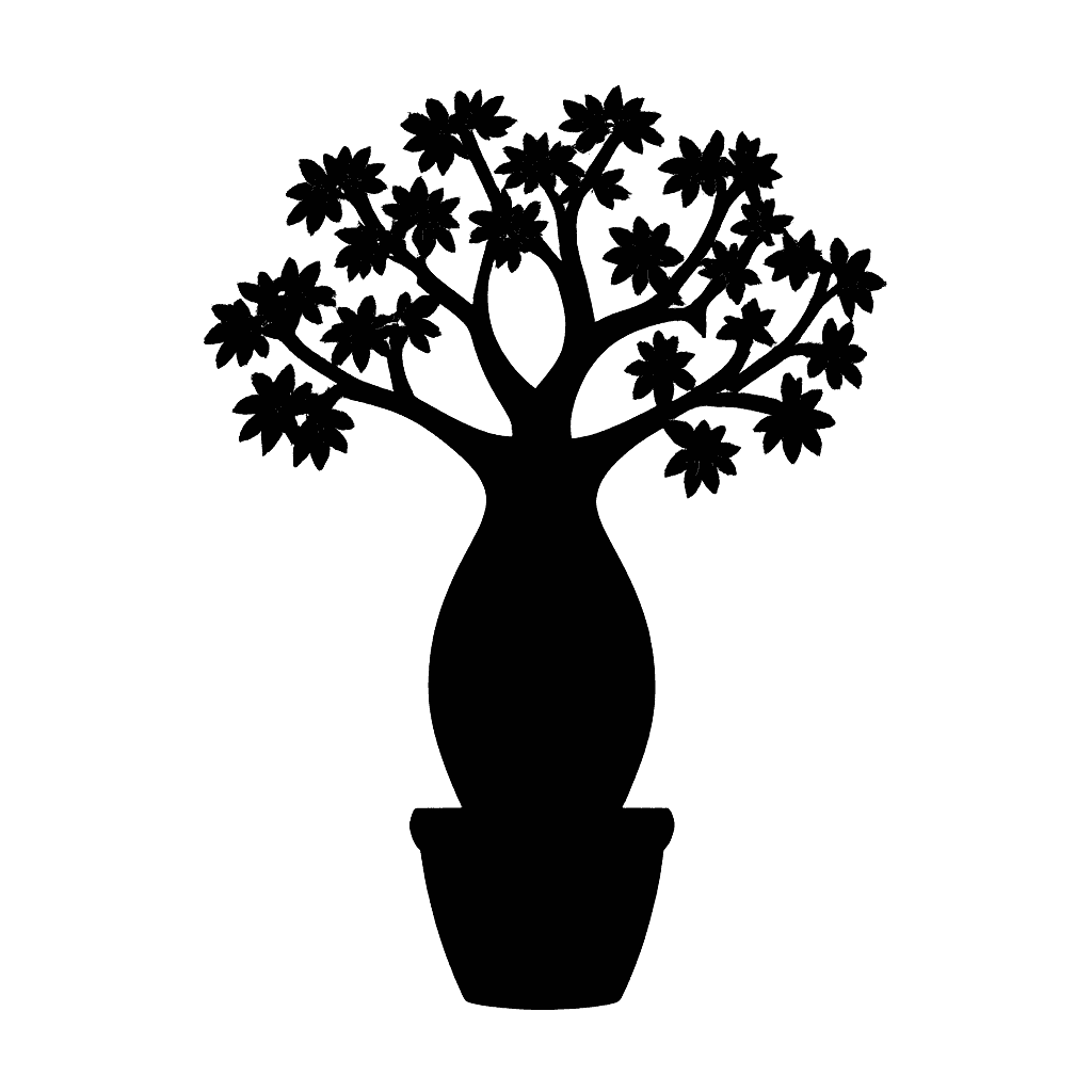Fony baobab