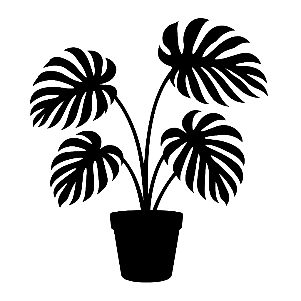 Feather Monstera