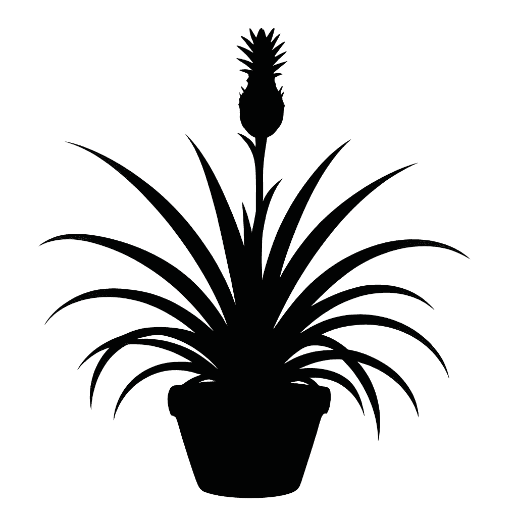 Wild Pineapple