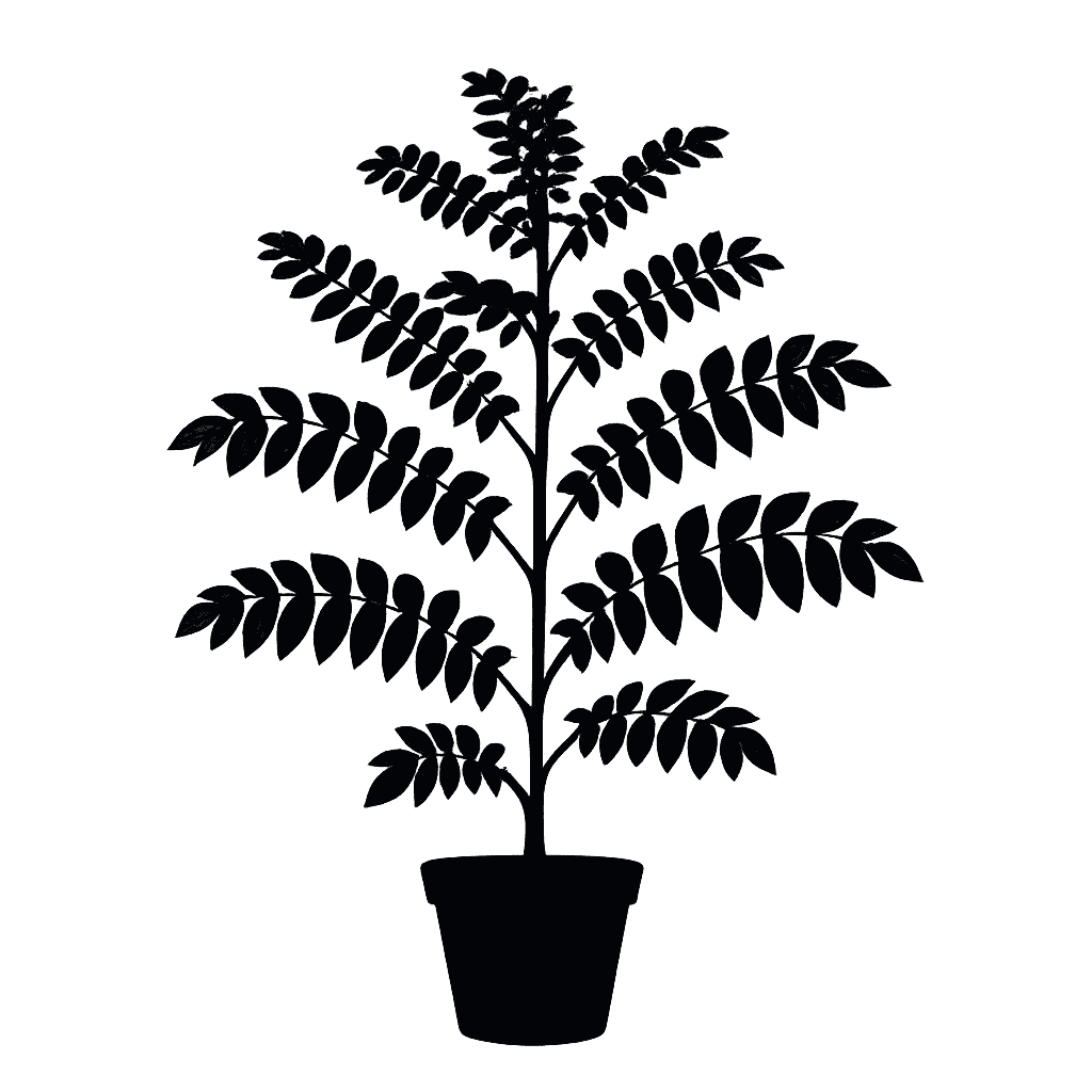 Zanthoxylum domingense