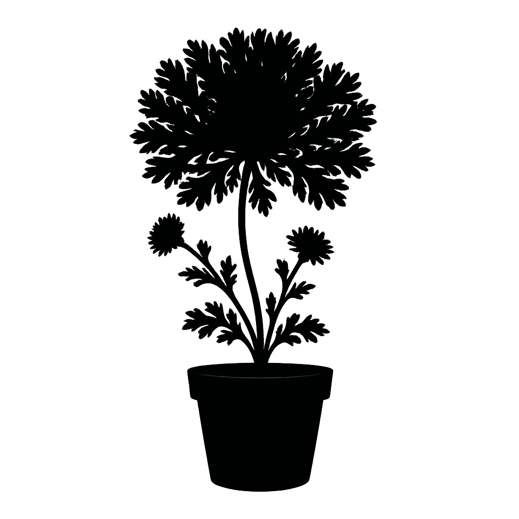 Castroviejoa frigida