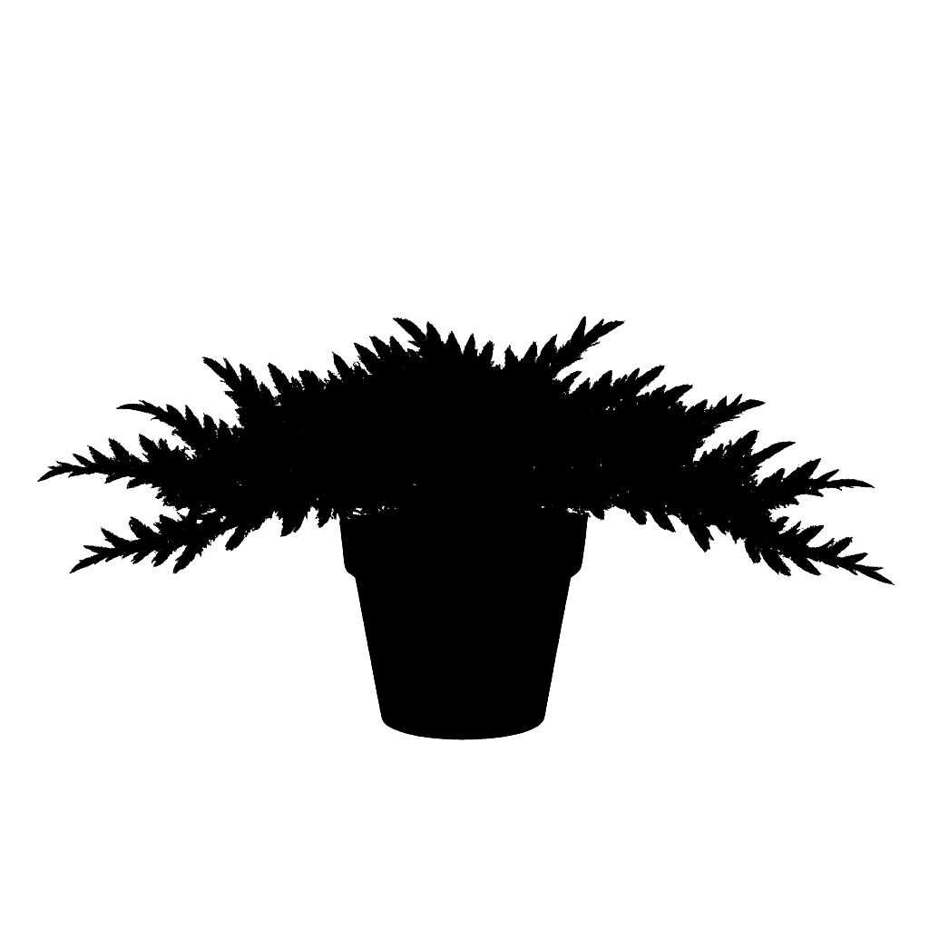 Juniperus horizontalis