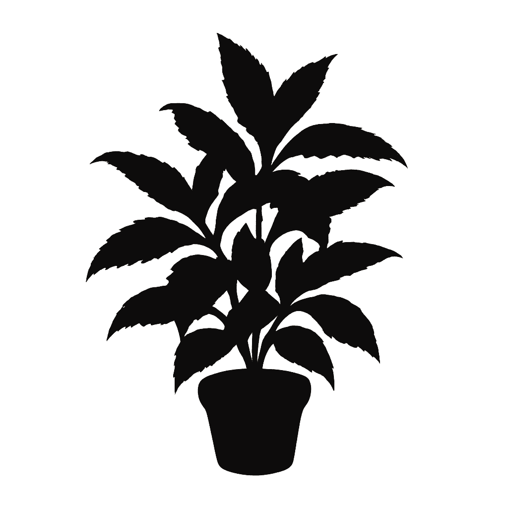 Strobilanthes dyerianus