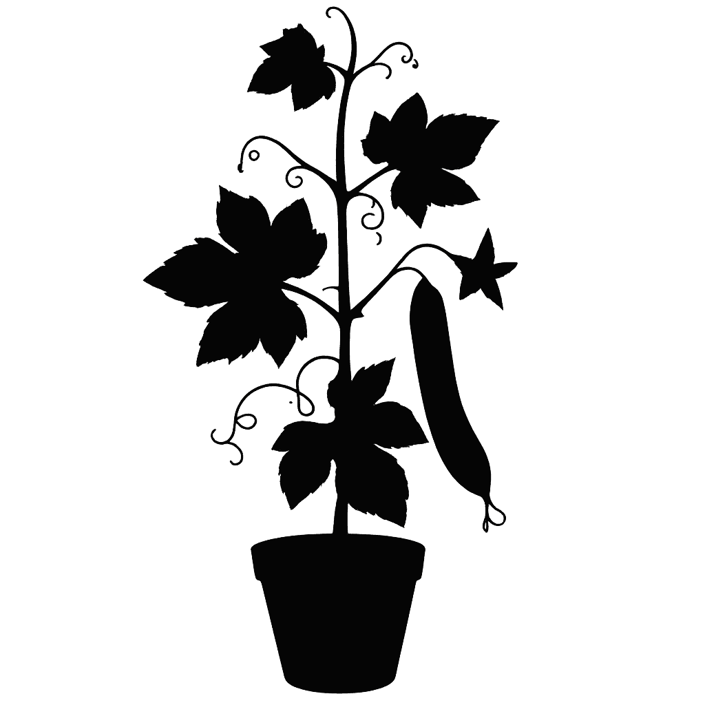 Trichosanthes cucumerina