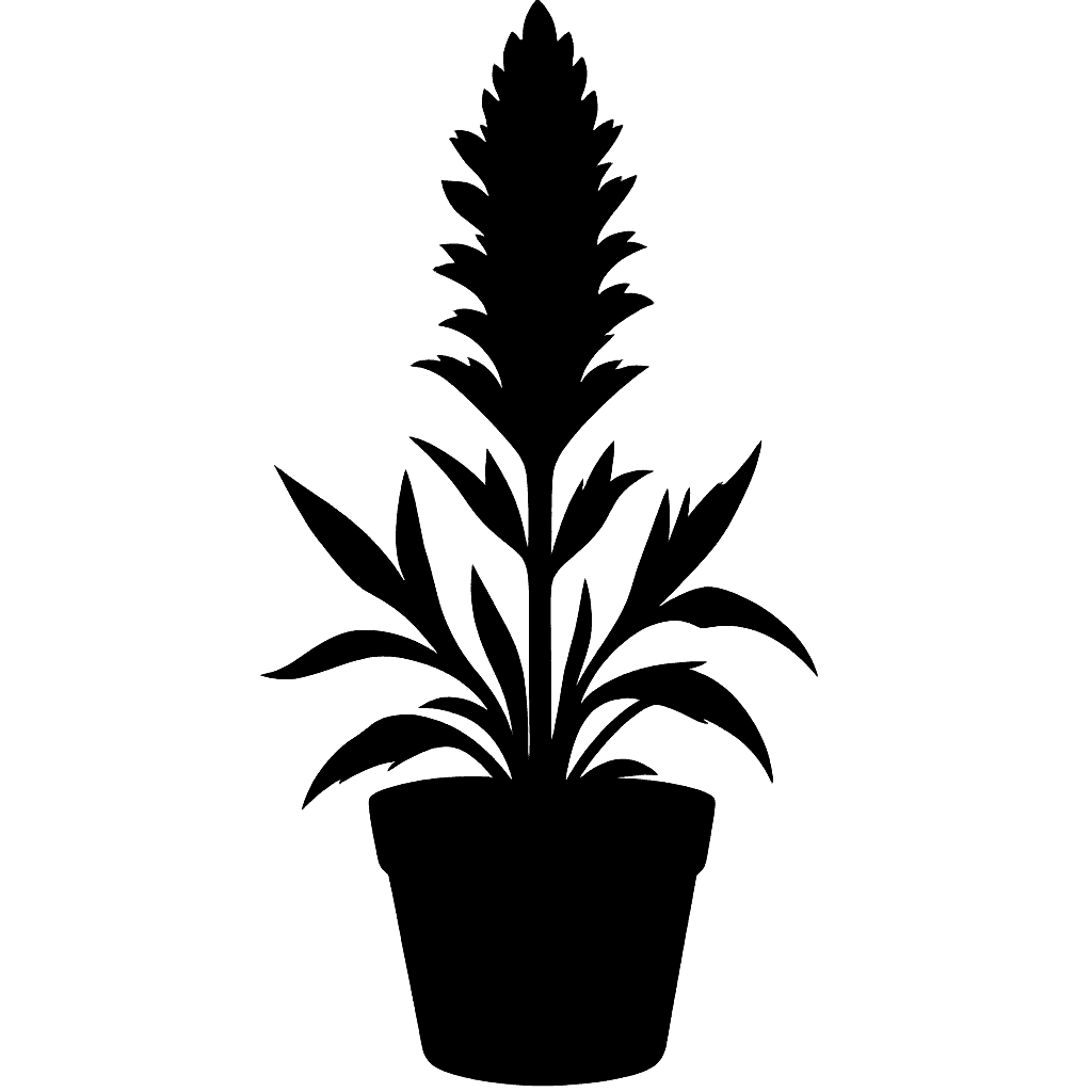 Orthocarpus luteus