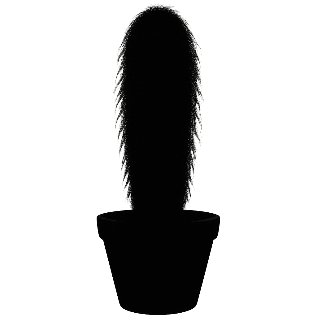 Cephalocereus senilis