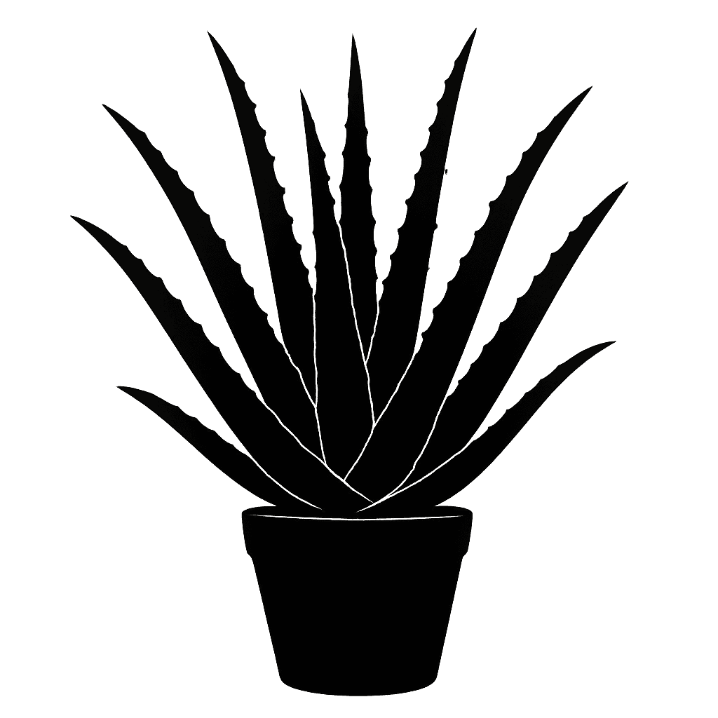 Aloe barbadensis
